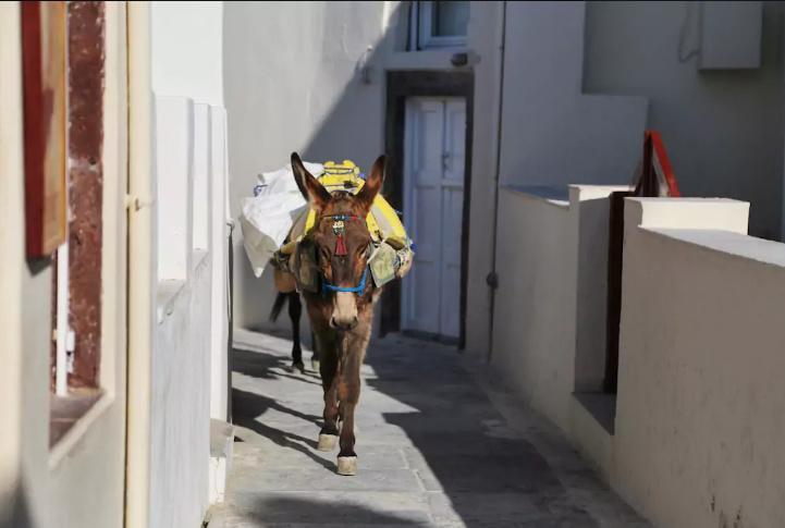 Dar Beldi Διαμέρισμα El Jadida Εξωτερικό φωτογραφία